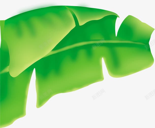 手绘绿色大叶植物png免抠素材_新图网 https://ixintu.com 植物 绿色