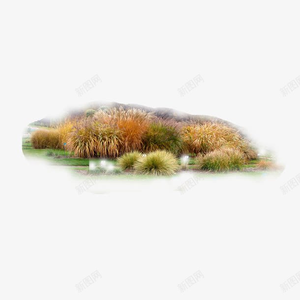 秋景png免抠素材_新图网 https://ixintu.com 树林 浅黄色 花草 草地