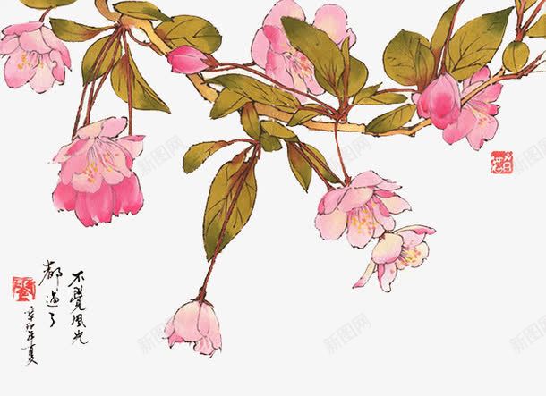 国画红杏png免抠素材_新图网 https://ixintu.com 国画 杏花 红杏 花