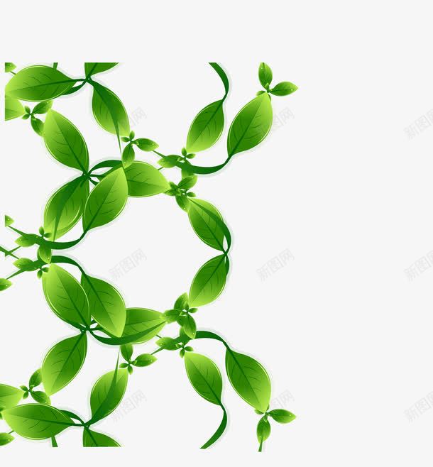质感绿色树叶边框png免抠素材_新图网 https://ixintu.com 树叶边框 矢量边框 绿色边框 质感边框 边框 边框素材