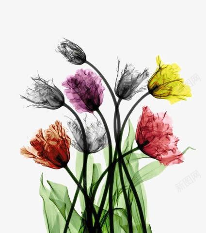 彩色花朵png免抠素材_新图网 https://ixintu.com 小花 文艺 清新 绿色叶片 花朵底纹 花朵装饰
