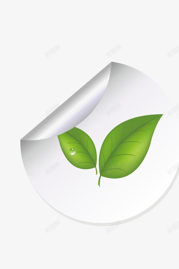 福鼎白茶图标png免抠素材_新图网 https://ixintu.com 图标 白茶 矢量素材 福鼎 福鼎白茶
