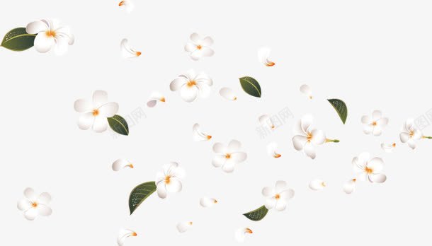 散落的花png免抠素材_新图网 https://ixintu.com 叶子 白色 艺术 花