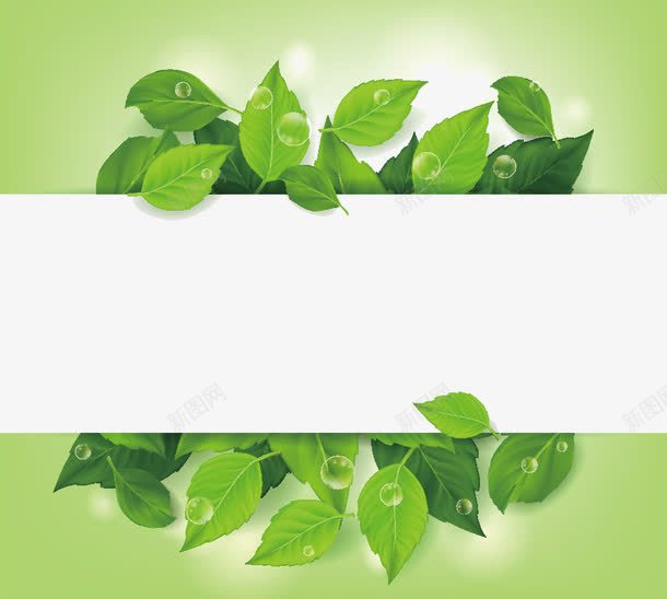 精美绿叶花纹边框png免抠素材_新图网 https://ixintu.com 图片 春天背景 树叶背景 素材