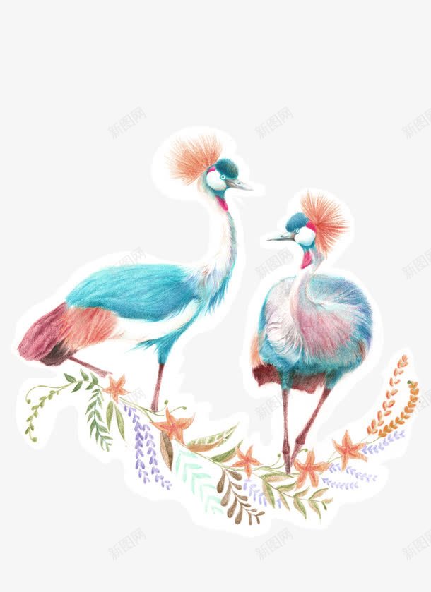 彩色手绘蜡笔花朵孔雀装饰图案png免抠素材_新图网 https://ixintu.com 免抠PNG 孔雀 彩色 手绘 花朵 蜡笔 装饰图案