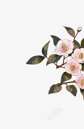 手绘白花绿色叶子png免抠素材_新图网 https://ixintu.com 叶子 手绘 白花 绿色