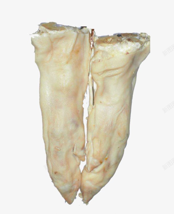 生猪脚冰冻猪脚食物png免抠素材_新图网 https://ixintu.com 猪 猪手 猪腿 猪腿肉 猪蹄