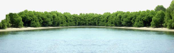 夏日海报植物河边效果png免抠素材_新图网 https://ixintu.com 夏日 效果 植物 河边 海报