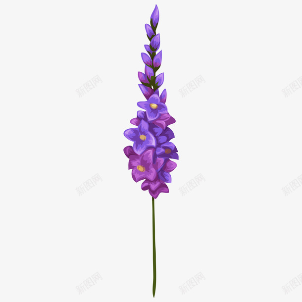 卡通植物紫色薰衣草png免抠素材_新图网 https://ixintu.com 卡通 植物 紫色 薰衣草
