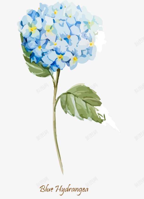 水彩绣球花png免抠素材_新图网 https://ixintu.com 小清新 植物 花 花卉