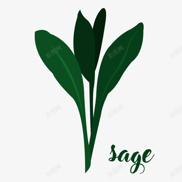 植物草本png免抠素材_新图网 https://ixintu.com 叶子 植物 植物草本 植物草本PNG 绿叶 绿色 草本