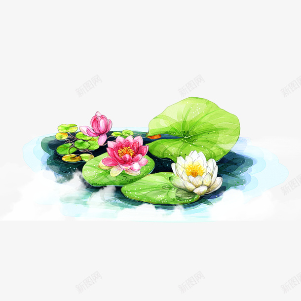 水墨荷花手绘夏天png免抠素材_新图网 https://ixintu.com 国潮 手绘 水墨 荷花