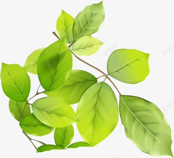 春天树叶美景朦胧png免抠素材_新图网 https://ixintu.com 春天 朦胧 树叶 美景