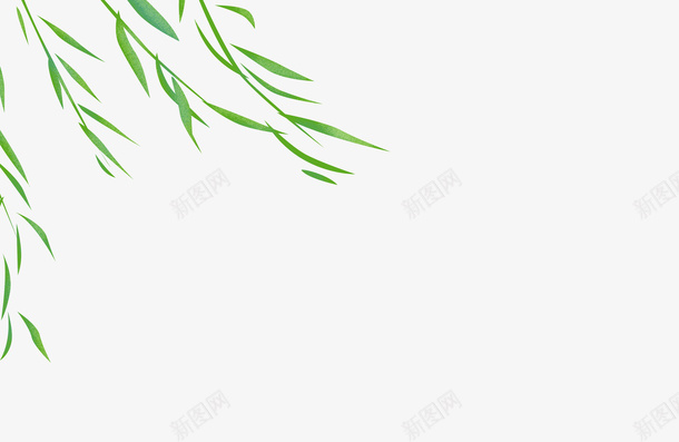 柳树随风飘摇png免抠素材_新图网 https://ixintu.com 叶子 杨柳 柳叶 柳枝 柳树 柳树叶