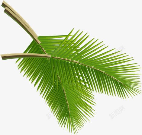 卡通手绘绿色植物棕叶png免抠素材_新图网 https://ixintu.com 卡通 绿色植物