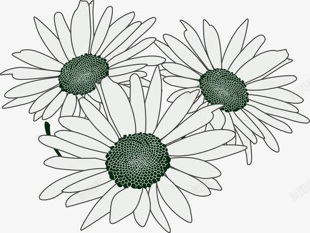 三朵小花png免抠素材_新图网 https://ixintu.com PNG图形 小花 百花 花朵 装饰
