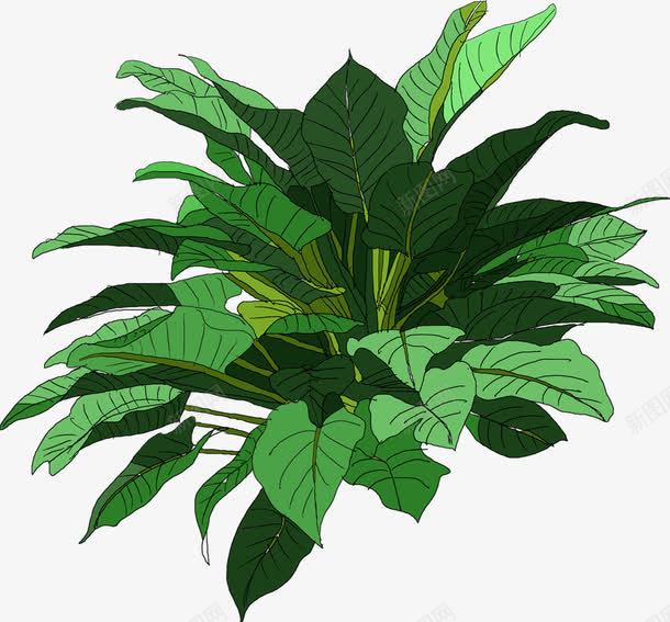 手绘卡通绿色的植物树叶png免抠素材_新图网 https://ixintu.com 卡通 树叶 植物 绿色