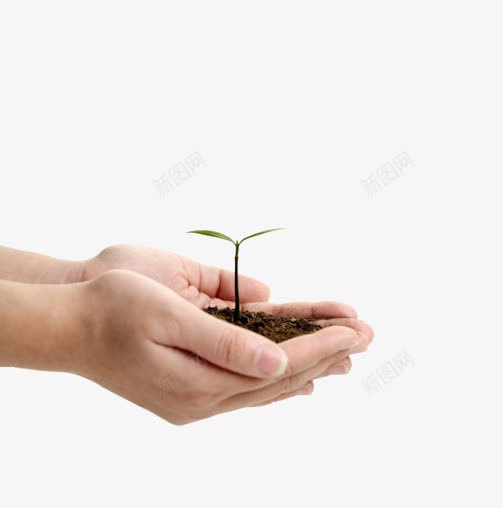 希望的种子png免抠素材_新图网 https://ixintu.com 出芽 图案 希望 手心 种子 装饰