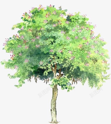 手绘绿色水彩植物小花png免抠素材_新图网 https://ixintu.com 植物 水彩 绿色