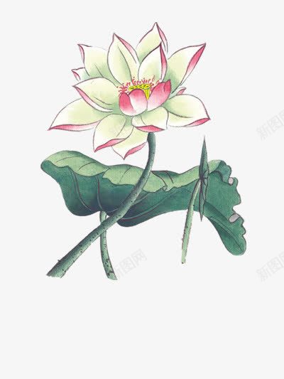 手绘荷花png免抠素材_新图网 https://ixintu.com 中国风 手绘 绿色 荷花
