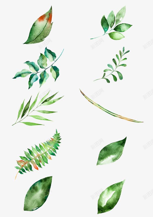 绿色卡通手绘植物树叶png免抠素材_新图网 https://ixintu.com 卡通 树叶 植物 绿色