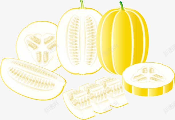 精美水果哈密瓜png免抠素材_新图网 https://ixintu.com 哈密瓜 水果 精美