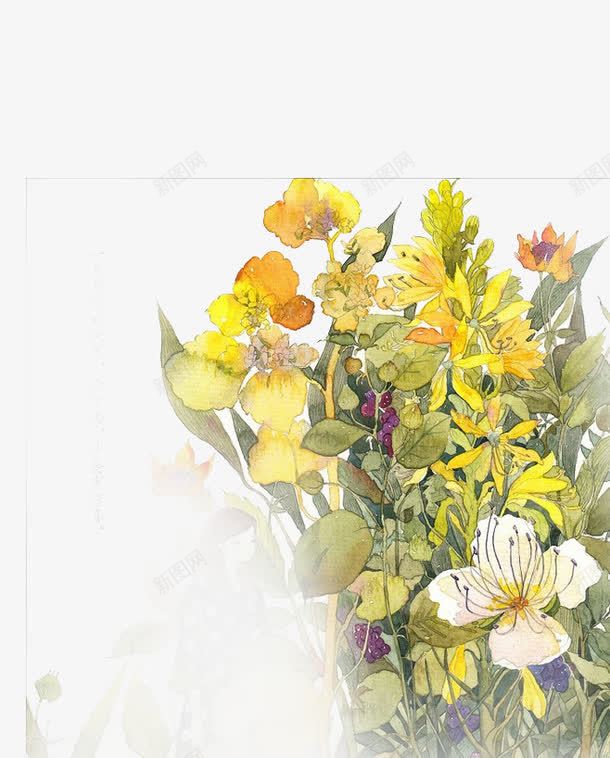 一束手绘花png免抠素材_新图网 https://ixintu.com 一束 彩绘花 手绘 花 黄色