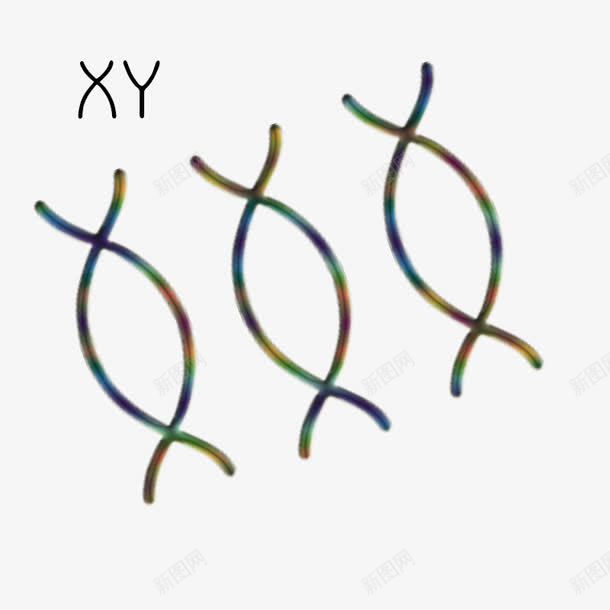 XXpng免抠素材_新图网 https://ixintu.com 基因 干细胞 染色体 高清免扣素材