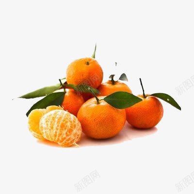 金桔子png免抠素材_新图网 https://ixintu.com 一盘绿桔子 切开的金桔 剥开的 好多绿桔子 桔子 甜桔子