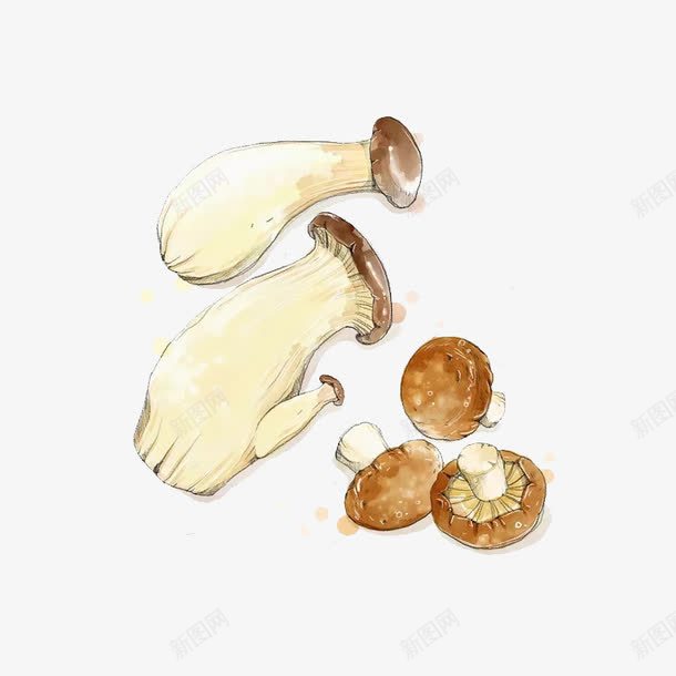 手绘的蘑菇png免抠素材_新图网 https://ixintu.com png图形 png装饰 手绘 菌类 蘑菇 装饰