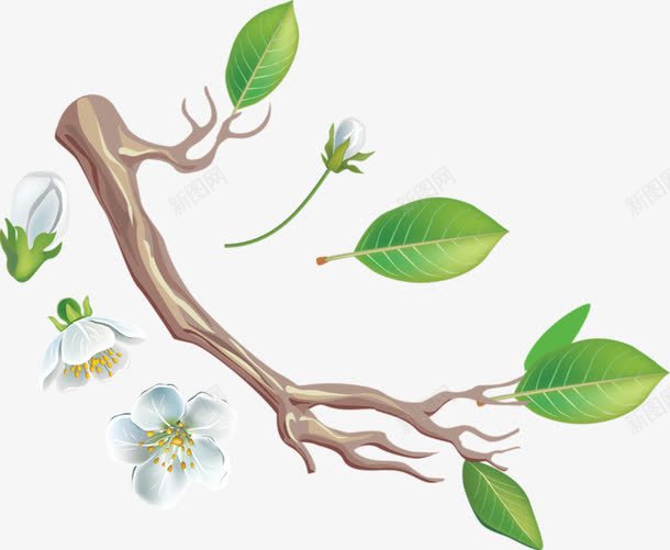 卡通桃花png免抠素材_新图网 https://ixintu.com 树枝 桃花 白色 绿叶