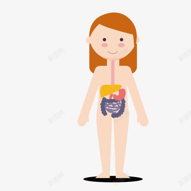 女孩肠胃png免抠素材_新图网 https://ixintu.com 女孩 扁平 肠胃