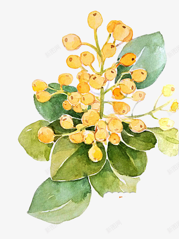 唯美古风插画png免抠素材_新图网 https://ixintu.com 卡通 古风 唯美 手绘 手绘插画 插画素材 水彩