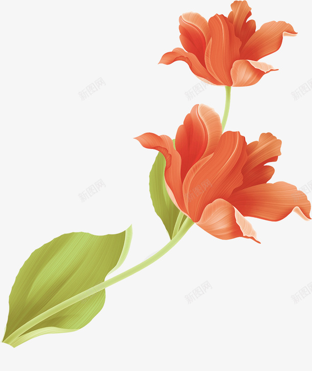 橙红花朵png免抠素材_新图网 https://ixintu.com 小清新 梦幻 浪漫 花朵