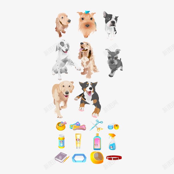 狗链子png免抠素材_新图网 https://ixintu.com 狗链子 皮带 素材