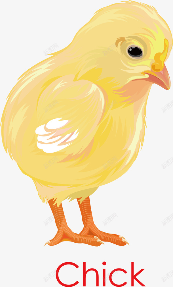 黄色小鸡矢量图ai免抠素材_新图网 https://ixintu.com 小鸡 幼雏 油彩画 黄色 矢量图