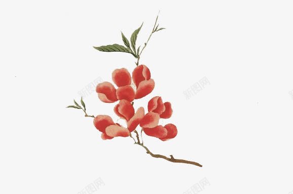 手绘鲜红花朵png免抠素材_新图网 https://ixintu.com 花朵 鲜红