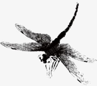 水墨画蜻蜓png免抠素材_新图网 https://ixintu.com 水墨画 蜻蜓 飞舞