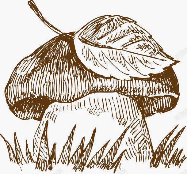 蘑菇手绘素描矢量图ai免抠素材_新图网 https://ixintu.com 平面设计 手绘 素描 蔬菜 蘑菇 矢量图
