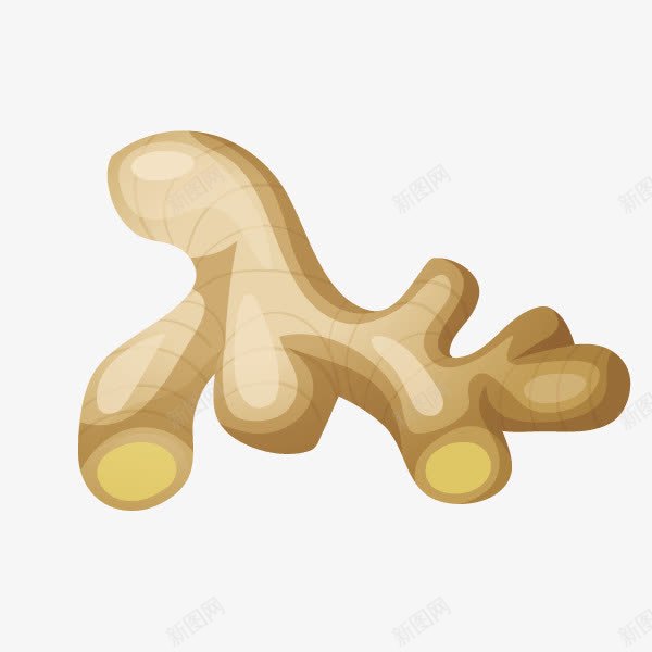 蔬菜姜配料png免抠素材_新图网 https://ixintu.com 姜 蔬菜 配料