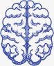 手绘大脑png免抠素材_新图网 https://ixintu.com 大脑 手绘