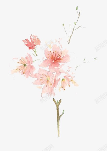 水彩鲜花png免抠素材_新图网 https://ixintu.com 卡通 手绘 树枝 水彩 粉色 绿叶 装饰 鲜花