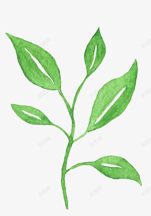 水墨叶子手绘简图png免抠素材_新图网 https://ixintu.com 叶子 小草 桔梗 植物 水墨 简图 绿叶 绿植