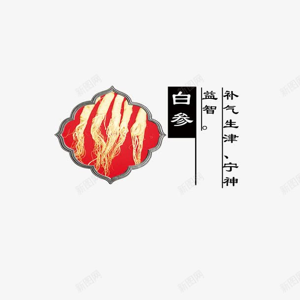 白参png免抠素材_新图网 https://ixintu.com 中药 产品实物 白参 药材