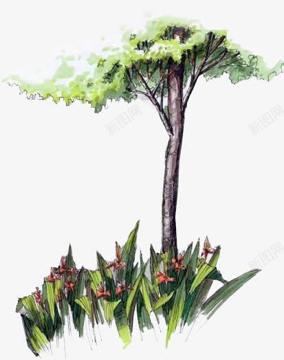 手绘树木园林展架png免抠素材_新图网 https://ixintu.com 园林 树木
