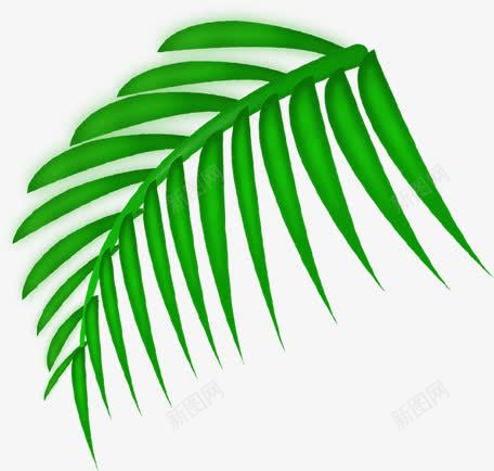 手绘绿色植物叶子海报图png免抠素材_新图网 https://ixintu.com 叶子 海报 绿色植物