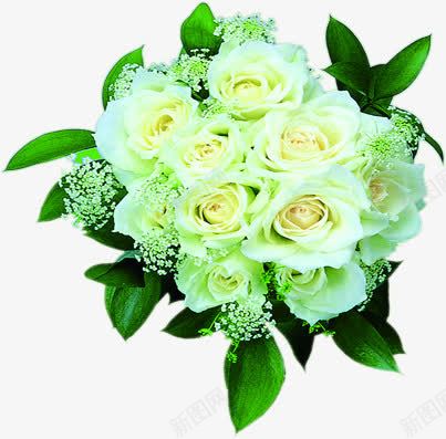 捧花花束白色玫瑰花png免抠素材_新图网 https://ixintu.com 玫瑰花 白色 花束