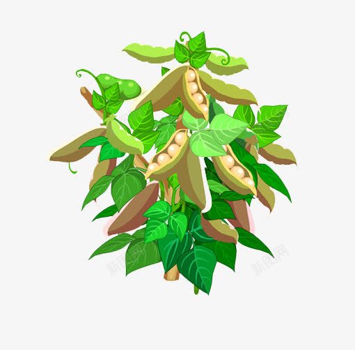 豌豆植物png免抠素材_新图网 https://ixintu.com 植物 绿叶 装饰 豌豆