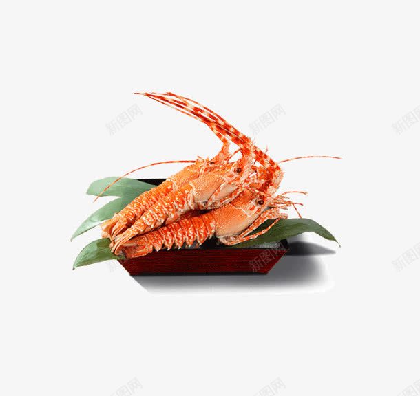盘子里的大虾png免抠素材_新图网 https://ixintu.com 产品实物 冰 火锅 盘子 虾 食物