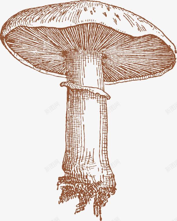 卡通蘑菇png免抠素材_新图网 https://ixintu.com 卡通 新鲜香菇 香菇 鲜香菇 鲜香菇豆腐 鲜香菇食材 黄色